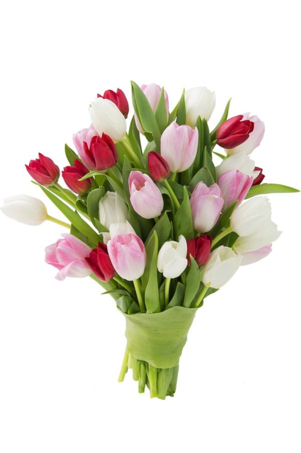 Tulips