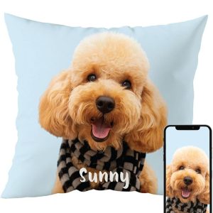 Custom pillow
