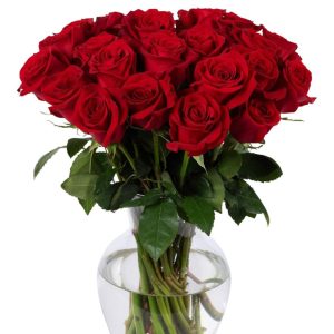 Rose flowers