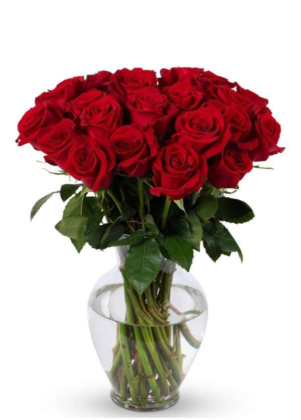 Rose flowers