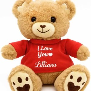 Personalized Name Teddy Bear ❤️